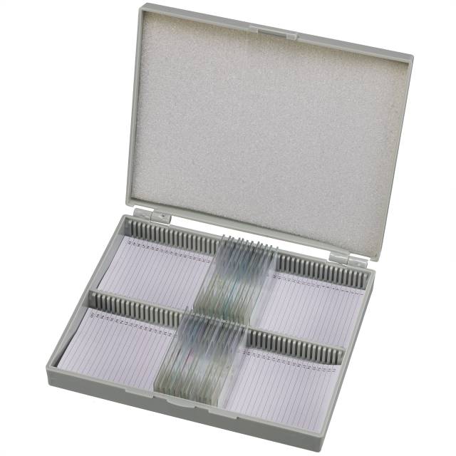 BRESSER Dauerpräparate Set mit 25 vorgefertigten und gefärbten Präparaten (Refurbished) 