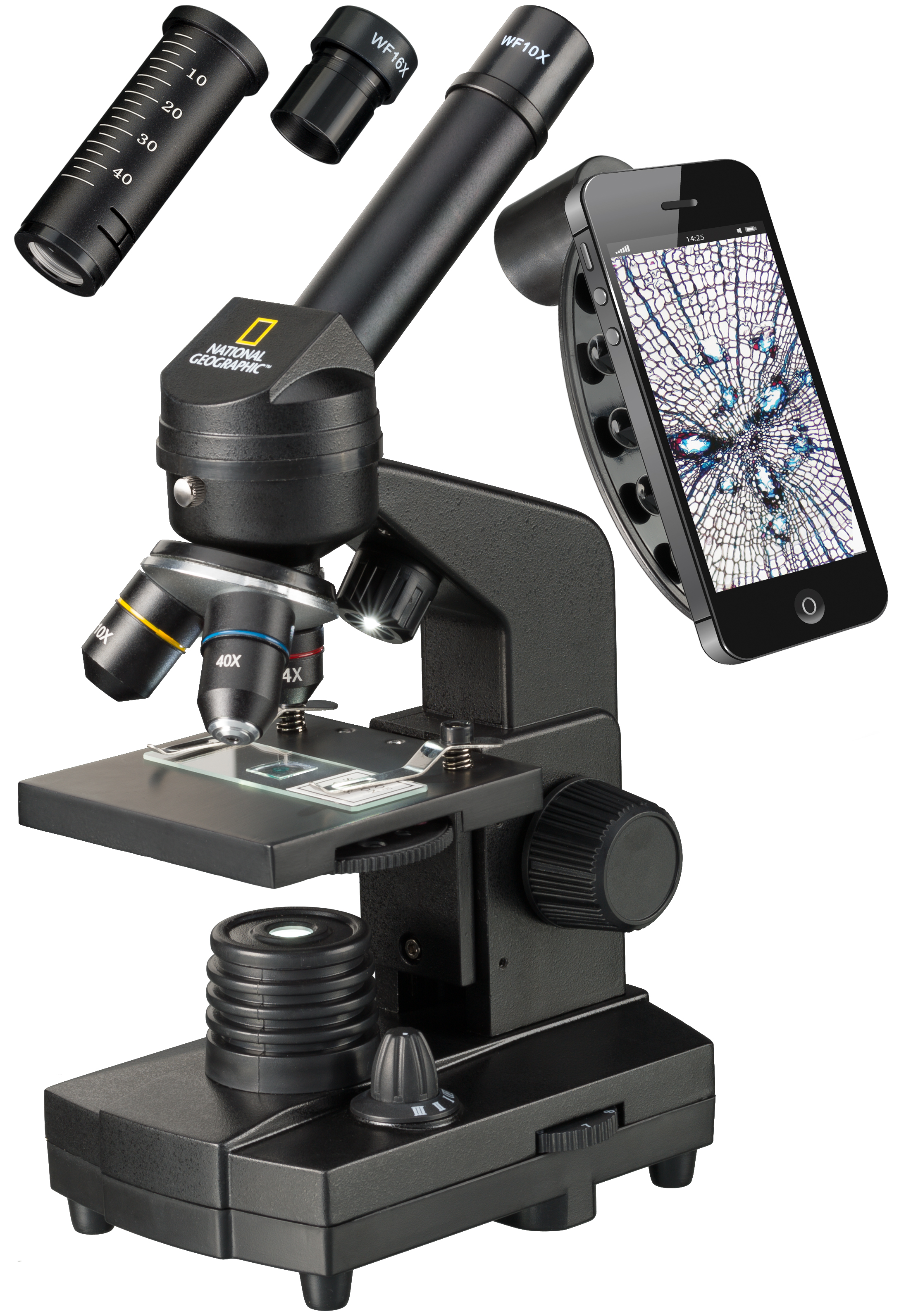 Partial seafood Mastermind Bresser | NATIONAL GEOGRAPHIC 40x-1280x Microscope with Smartphone holder |  Expand Your Horizon